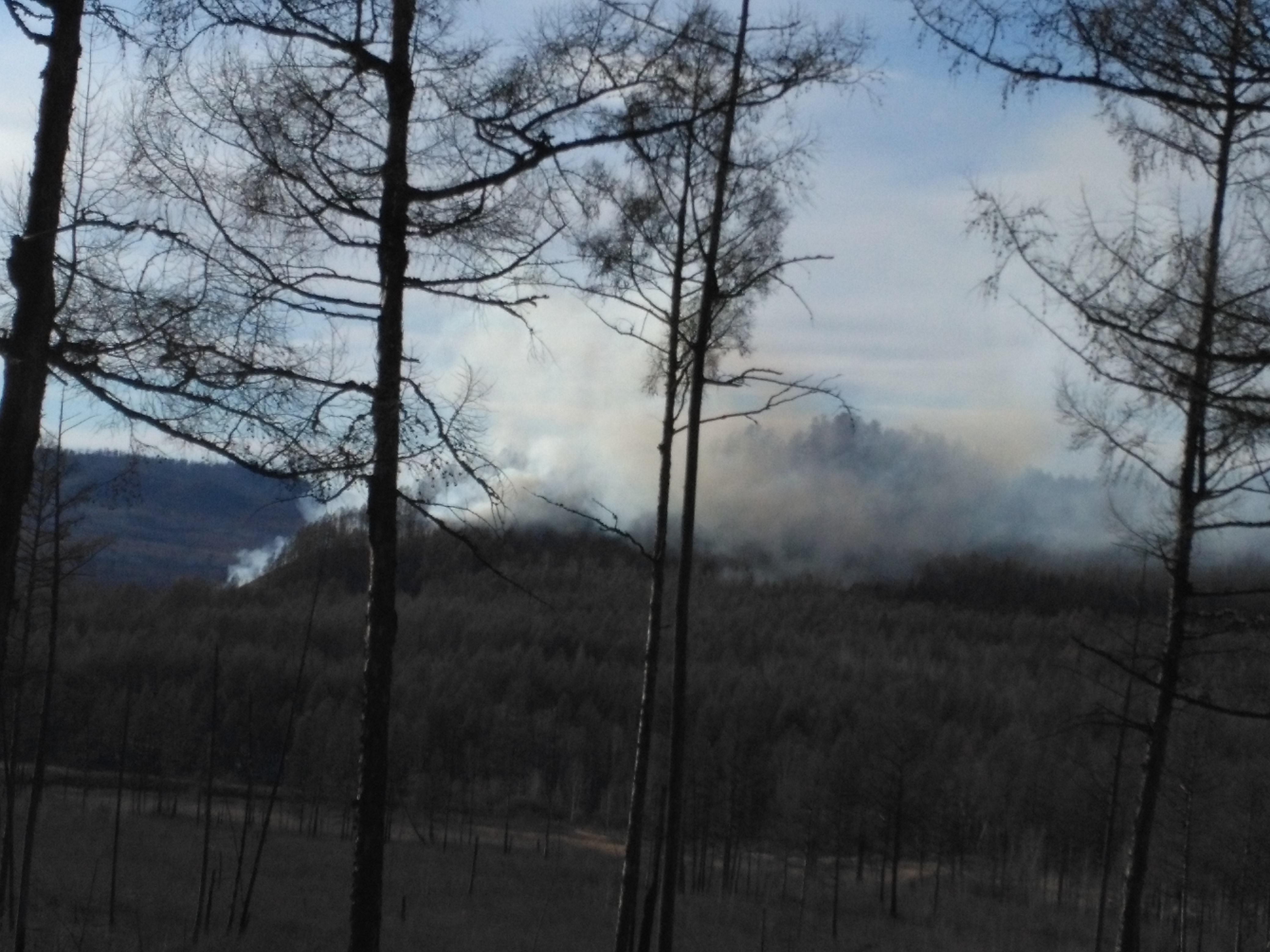 Лесной пожар в Кыринском районе угрожает переходом в Монголию
