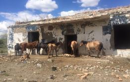 Жители Оловянной сравнили свой посёлок с разбомблённой Сирией (Фото)