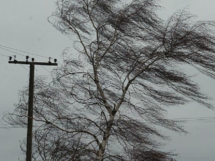 Последствия урагана в Оловянной уже неделю остаются без внимания