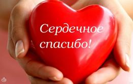 Пенсионерка поблагодарила водителя маршрутки, вернувшего сумку с телефонами и лекарством