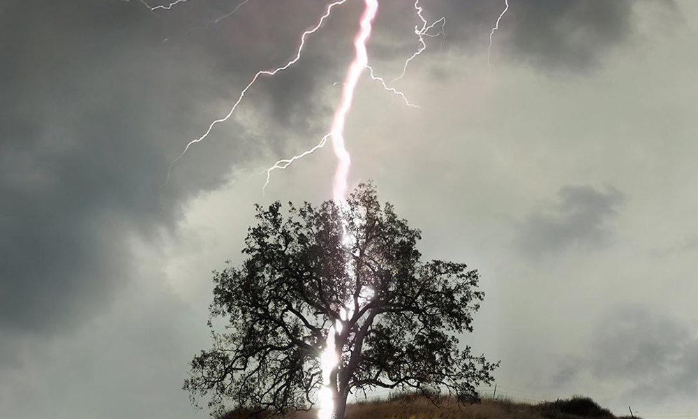 Молния ударила в дерево в Чите (видео)