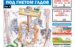 «Вечорка» № 34: Гады забайкальские, зажаренные током бурёнки и подозрительный «суицид» контрактника