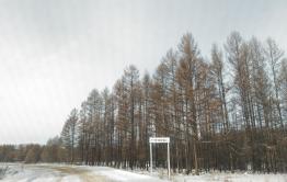  Жданова пообещала Кантемиру за год установить солнечную электростанцию в Тунгокочене