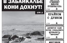 Анналы «Вечорки»: о чем писала газета 29 января 2013 года
