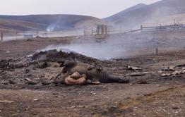Забайкальский край вновь заполыхал