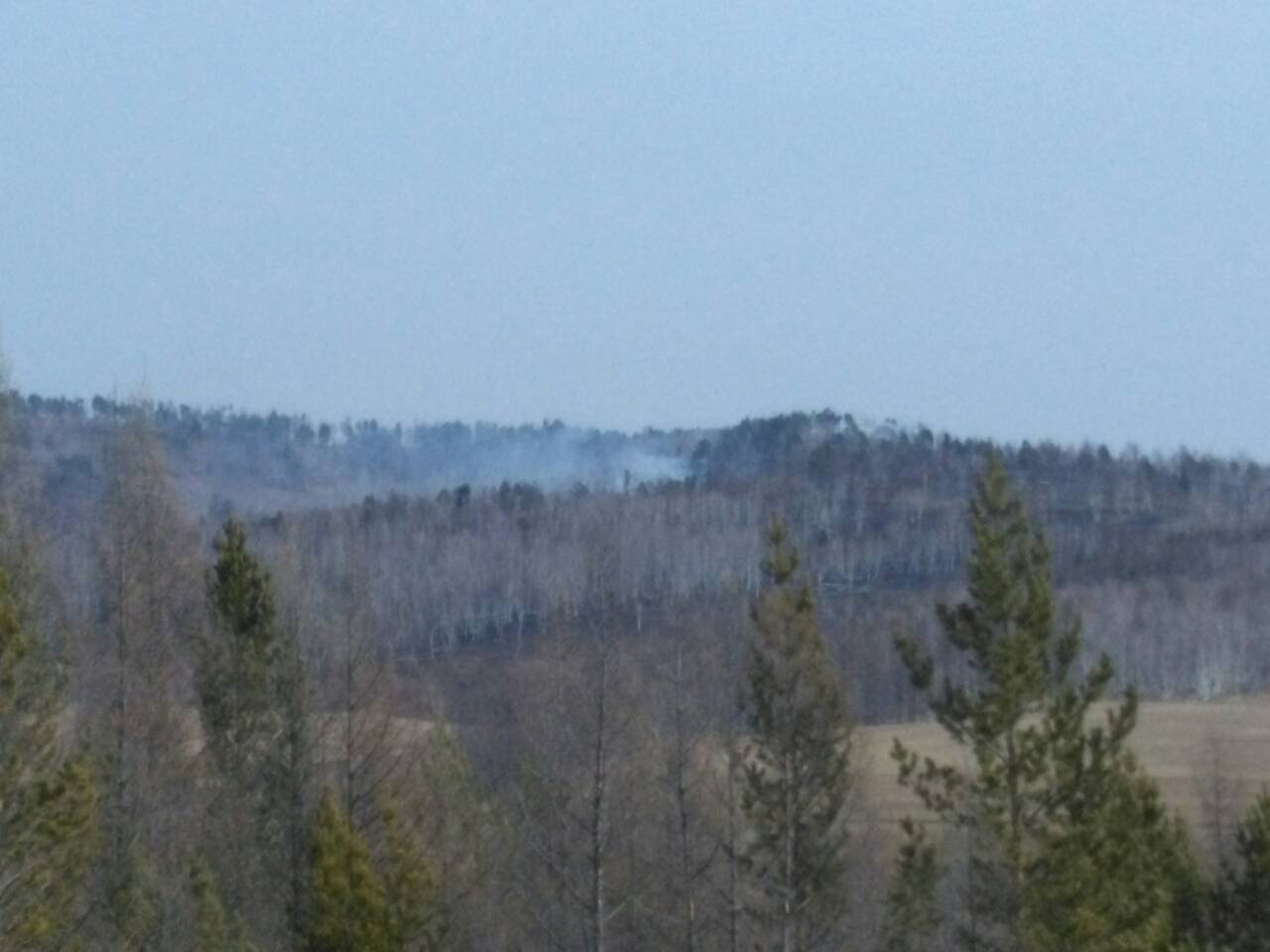 Три лесных пожара действуют в Карымском районе