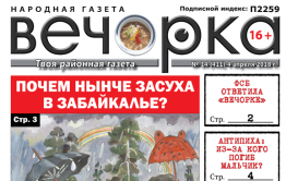 «Вечорка» № 14 (411): ФСБ отвечает газете, почему не сел Михалев и кто такие тупикчане?