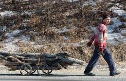 Забайкалец поджег лес, чтоб собрать горельник