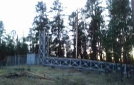 Порыв ветра повалил в Атамановке вышку сотовой связи и несколько сосен (фото)