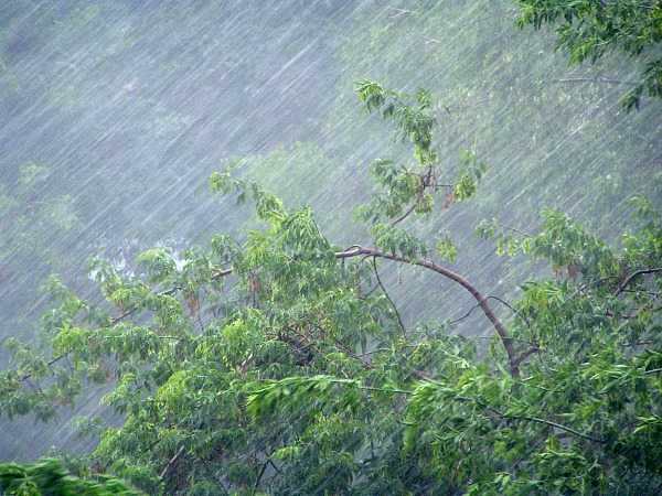 В Забайкалье, вместо обещанного губернатором дождя, пришел ураганный ветер