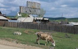 Шахтеров Дарасунского рудника осматривают медработники