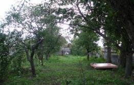 Жители Воронежской области предложили переехать пострадавшим от паводка забайкальцам к ним в село