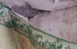 УК и читинские власти не помогают жильцам аварийного дома по ул. Новопутейская, 22