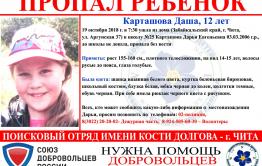 Волонтеры опровергли причастность мальчика к пропаже школьницы в Чите