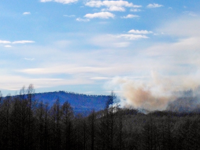 Четверть всей площади лесных пожаров Сибири приходится на Забайкалье