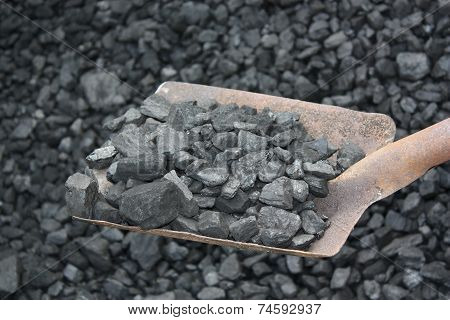 В Забайкалье дорожает уголь