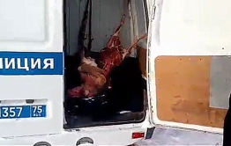 Браконьера из Балея задержали в Оловяннинском районе с тушей дзерена