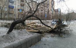 Читу начали украшать к наступающему году свиньи