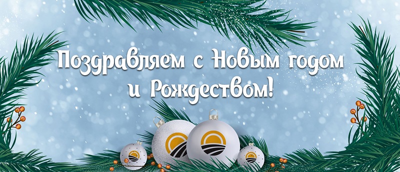 «Партия Дела» поздравляет читателей «Вечорки» с Новым годом!