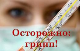 Краевая инфекционная больница в Чите переполнена пациентами с гриппом