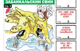 Сельские рабовладельцы, свинский подарок и в Забайкалье кончается лес - Вечорка» №6