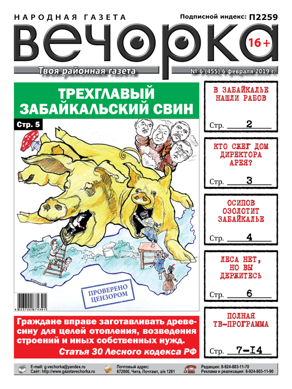Сельские рабовладельцы, свинский подарок и в Забайкалье кончается лес - Вечорка» №6