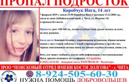 Девочку-подростка, пропавшую вечером 7 февраля, разыскивают в Чите