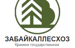 Обыск в «Забайкаллесхозе» по подозрению в мошенничестве сотрудников учреждения (видео)