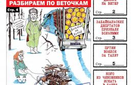 Нездоровые депутаты, Забайкалье тянут в США и чиновники, встречающиеся в банях - «Вечорка» №8 уже в продаже