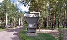 Жители Карповки недовольны действиями властей – отдать землю иностранцам