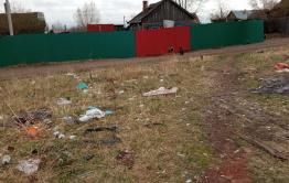 Жители поселка Наклонный в Чите пожаловались на своры собак