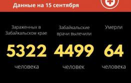 Еще один летальный случай, вызванный COVID-19, зарегистрирован в Забайкалье 
