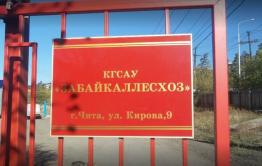Экс-глава «Забайкаллесхоза» загремел на пять лет за хищение бюджетных денег