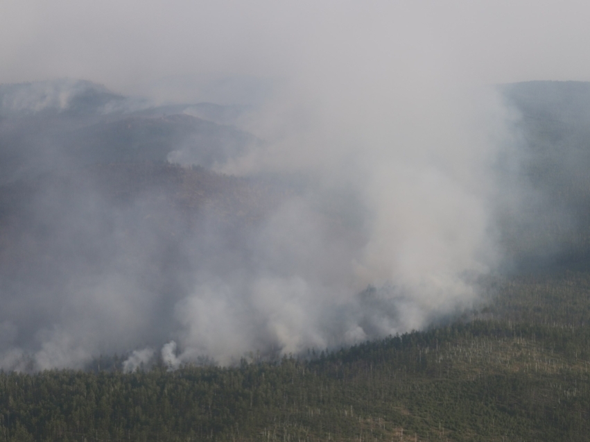 Дым от лесных пожаров в соседних регионах принесло в Забайкалье