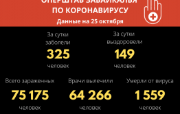В Забайкалье выявили 325 новых случаев заражения коронавирусом за сутки