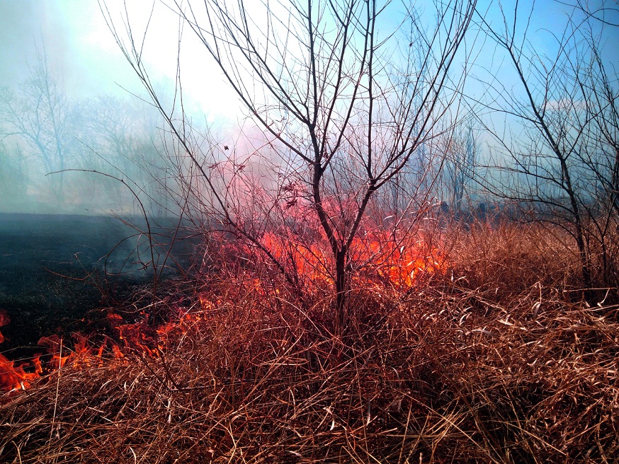 ​Лесной пожар действует около Карымского