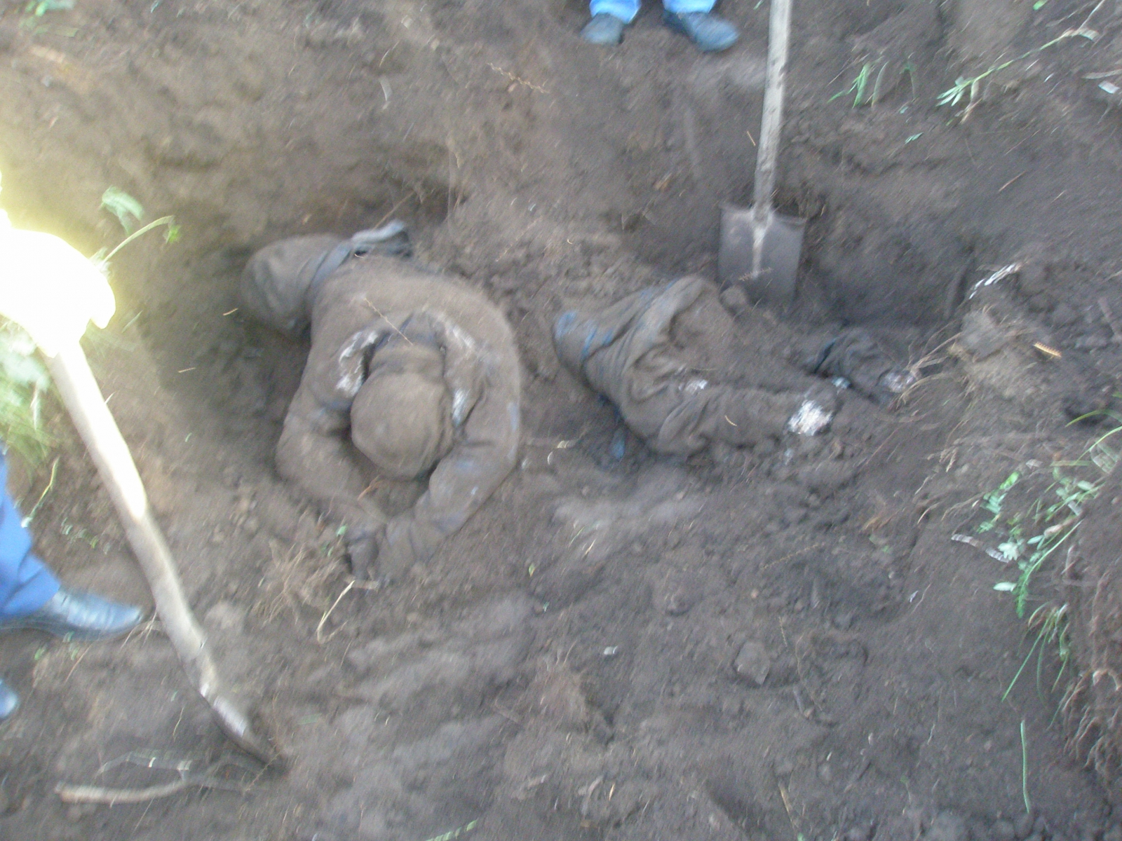 Вина одного из убитых в Забайкалье узбеков в педофилии доказана - источник