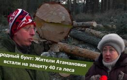 ​«Вечорка ТВ»:​Народный бунт: Жители Атамановки встали на защиту 40 га леса