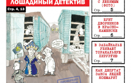 PDF-версия «Вечорки» № 17 (414): Трактор, лошадиный детектив, встреча Ждановой  с суженым и депутат, что кошмарит целый дом
