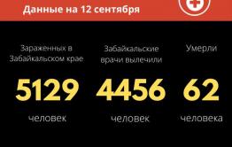 Больше 60 человек заразились коронавирусом за сутки в Забайкалье