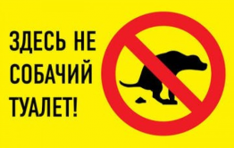 На площади Декабристов нельзя будет выгуливать собак. Вообще. Но это не точно.