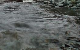 ​Молодой мужчина утонул на карьерах в Борзе