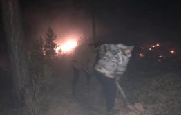 Жители забайкальского села тушат лесной пожар с помощью ведер, лопат и старого грузовика 