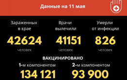 За сутки 24 человека заразились COVID-19 в Забайкалье