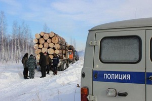 В Забайкалье «черные лесорубы» причинили ущерб на миллион рублей