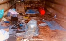 Следователи начали проверку из-за хранящихся в гараже трупов в Могоче