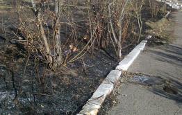 Дворники из Ясной по ночам жгут опавшую листву