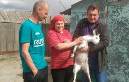 Козочка от Экофермы «Страусы» Забайкалья доставлена в село Хадакта