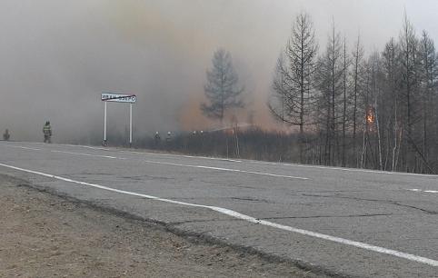 Министерство природных ресурсов Забайкалья рассказало о действующих лесных пожарах — их нет 