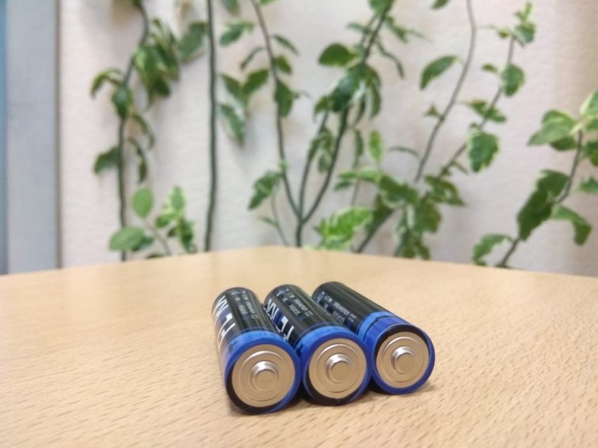 Сотрудники чикойского нацпарка собрали более 200 килограммов использованных батареек на переработку